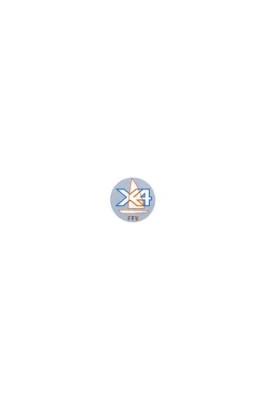 Taud dessus X4 Polyester PE 270g/m² Prix Bas