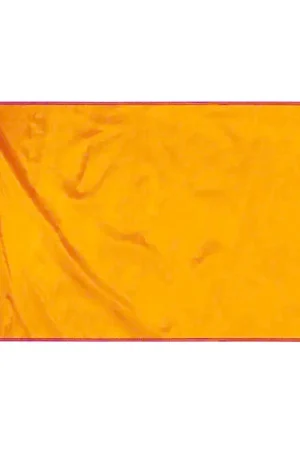 Dernière Chance Pavillon de comité 40x60cm Orange
