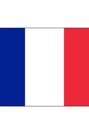 Drapeau France 57x33cm Insignia Nouvelle Collection