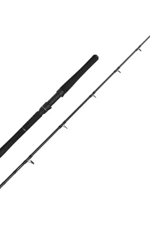 Canne spinning Savage Gear Fury Sg2 Halibut Seulement Aujourd'hui