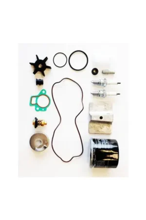 Prix Promo Kit d'entretien pour moteur Parsun F4