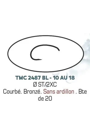 Prix Cassé Hameçons mouche TMC 2487BL - H10