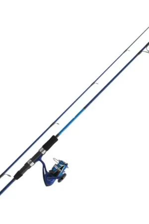 Ensemble pêche Mer Spinning Daiwa Set DW 02 Commande En Gros