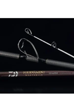 Canne à pêche Daiwa Tournament Masterise - 4.25M 100-225gr Retour Gratuit