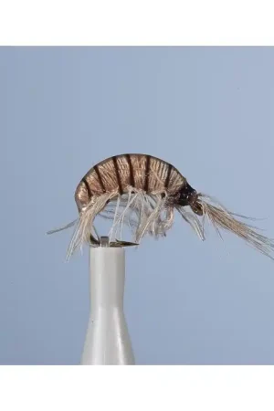 Vente Flash Mouche Nymphe JMC Jcc 120 H16