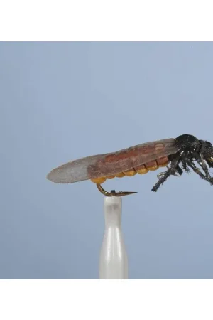 Solde Mouche Terrestre JMC Grande Perle H10