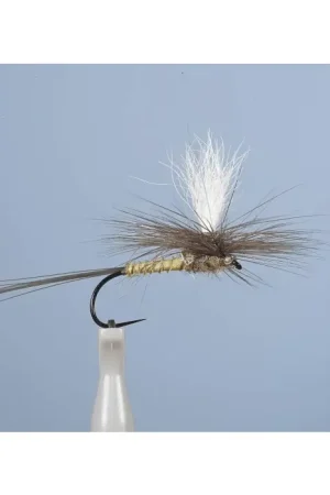 Super Prix Mouche Emergente JMC Dc 53BL H16