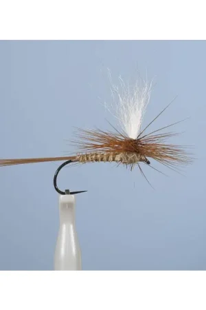 Top Vente Mouche Emergente JMC Dc 54BL H12