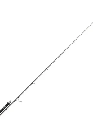 Must-Have Canne TenRyu Injection SP 71 M Heretic