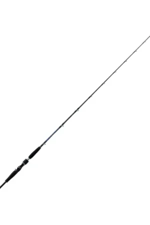 Haute Qualité Canne à pêche Daïwa Saltiga Deep 55