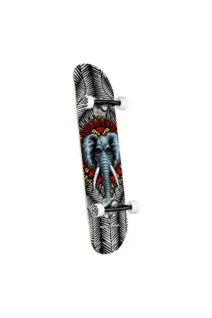 SKATE POWELL PERALTA VALLELY ELEPHANT 8.0'' Pas Cher