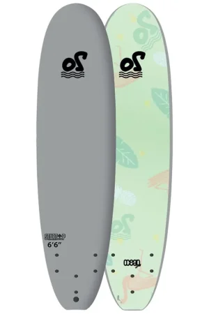 PLANCHE DE SURF OCEAN STORM START UP 6'6'' Produit De Marque