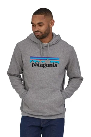 CAPUCHE PATAGONIA P-6 LOGO Acheter En Ligne