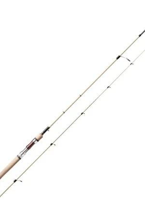CLASSIC COUNTDOWN - 2 brins Nouvel Arrivage