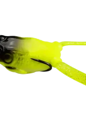Freddy Frog Prix Choc
