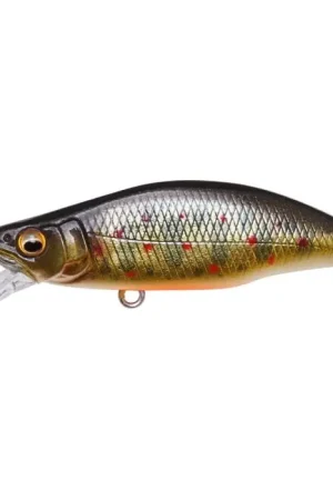 GREAT HUNTING 46 HUMPBACK Prix Bas