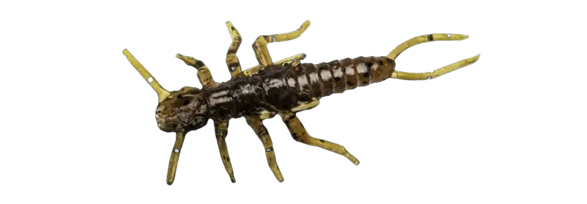 Stonefly 0,75" - 1,9cm Bon Plan