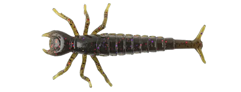 Diving Bug 2" Livraison Express