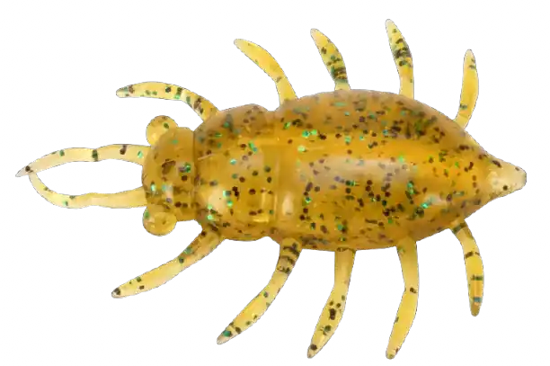 Commander Vite Maybug 1" (2,5cm)