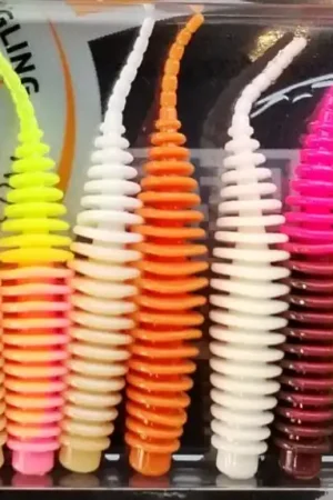 Top Vente Tanta 1,5" Pack Multi Couleurs Flashy