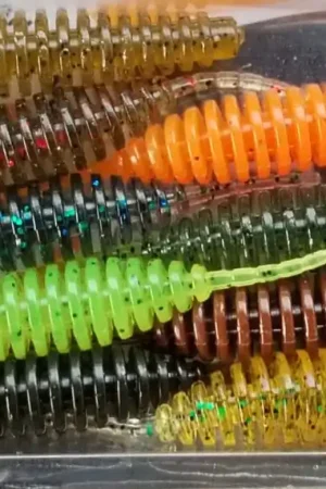 Must-Have Tanta 2" Pack Multi Couleurs Natural