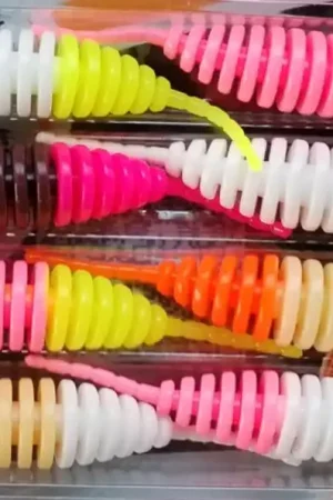 Tanta 2,5" Pack Multi Couleurs Flashy Réduction