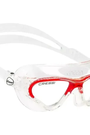 Prix Choc Lunettes de natation Cobra