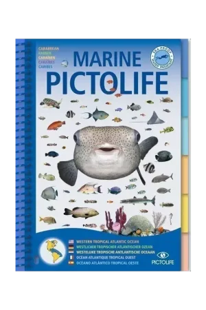 Marine Picto Life – Atlantique Tropicale Ouest (EN/DE/NL/FR/ES) Produit De Marque