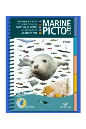 Marine Picto Life – Atlantique Est (EN/DE/NL/FR/ES) Réduction